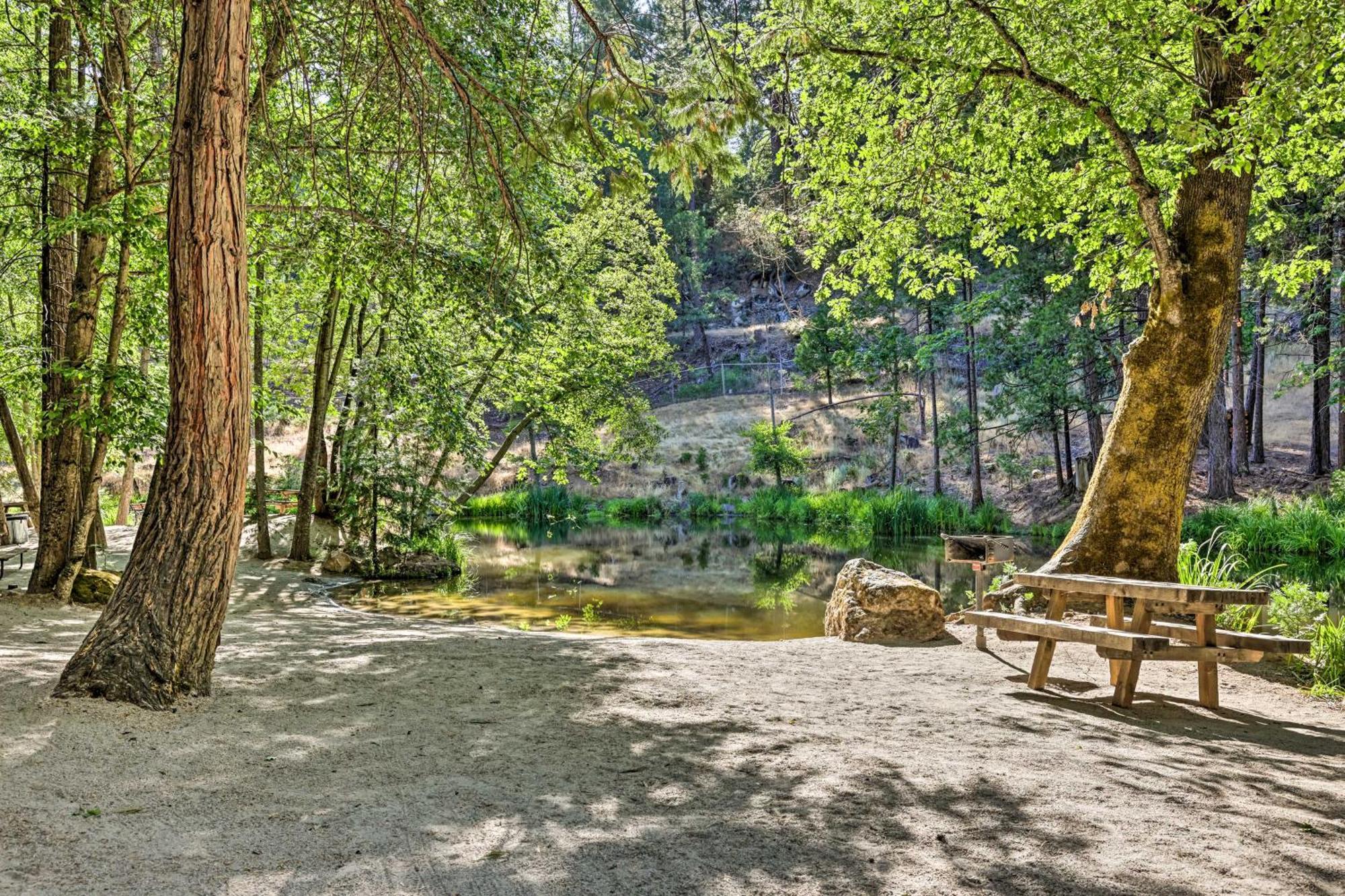 Casa vacanze Picturesque Escape With Patio And Game Room! Sonora